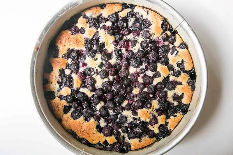 Light and fluffy cake with blueberries baked into it